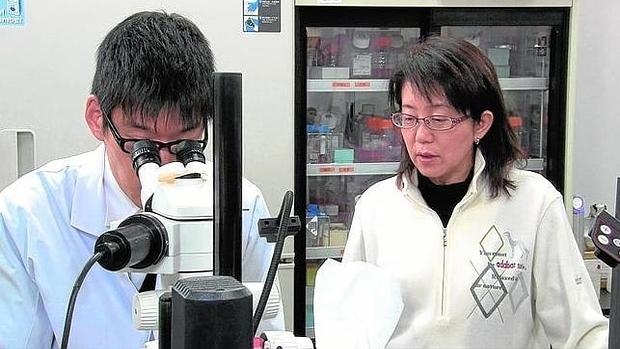 Masayo Takahashi y un científico