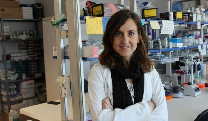 "Nuevas dianas para el tratamiento de la Retinosis Pigmentaria"