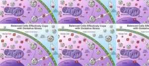 Como mejorar el rendimiento visual con Retinosis Pigmentaria