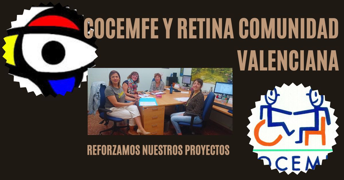 Mesa de trabajo con las técnicas de Cocemfe Valencia y Retina Comunidad Valenciana